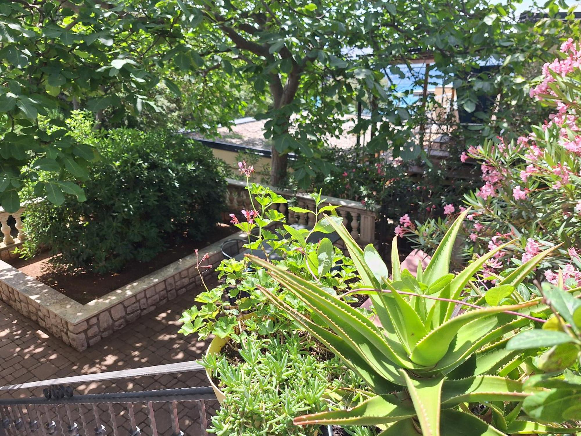 Villa Haus Niko เซนญ์ ภายนอก รูปภาพ